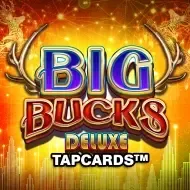 Big Bucks Deluxe Tapcards screenshot